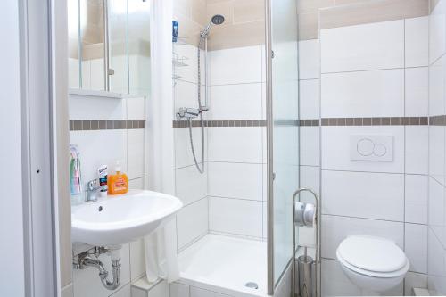 a bathroom with a shower and a sink and a toilet at Holidayapartment Rüsselsheim in Rüsselsheim