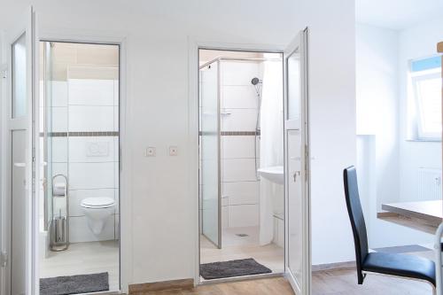 a bathroom with a toilet and a mirror at Holidayapartment Rüsselsheim in Rüsselsheim