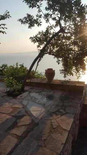 カラマタにあるThe Villa of Bluesのギャラリーの写真