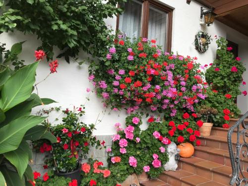 a bunch of flowers on the side of a house at Haus Katharina in Wagrain