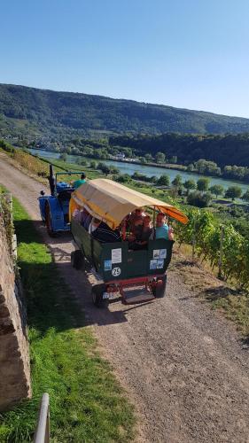 a small train on a road with people in it at Weingut Erich Serwazi in Mesenich