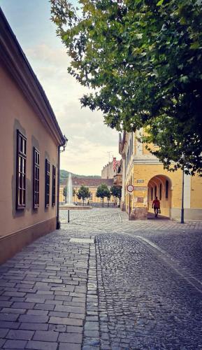 a cobblestone street in a town with a tree at Strigonia Apartman in Esztergom