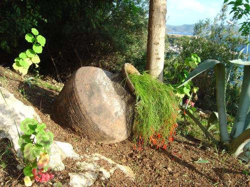 Gallery image of Medusa Hotel in Kas