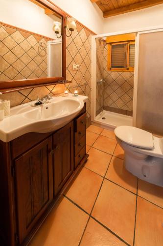 a bathroom with a sink and a toilet at La Ventilla in Arbuniel