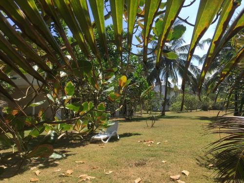 Un jardín fuera de Raja Beach Hotel