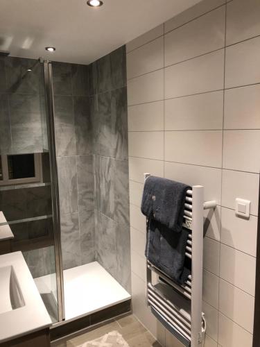 La salle de bains est pourvue d'une douche et d'une serviette. dans l'établissement Gîte centre historique Colmar, à Colmar