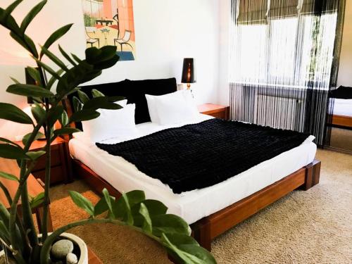 a bedroom with a bed with a black comforter and a plant at SPA Hotel in Vorzelʼ