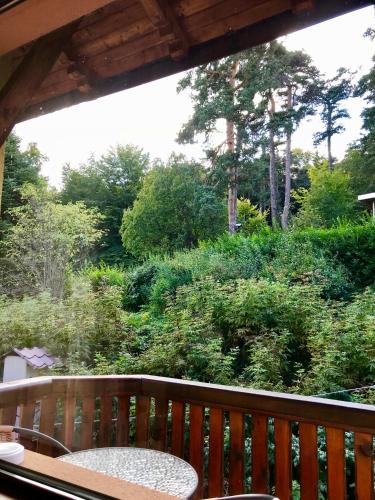 a view of a garden from a wooden bench at Daf Trans Hotel in Peshtera