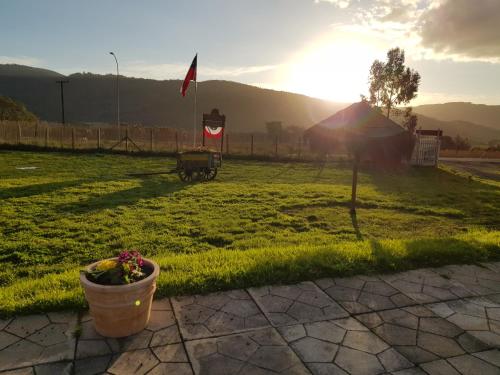 a field with a potted plant and the sunset at Cabañas Los Cipreses in Contulmo