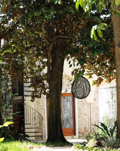 a door of a house with a tree at Verde Morada in Valladolid
