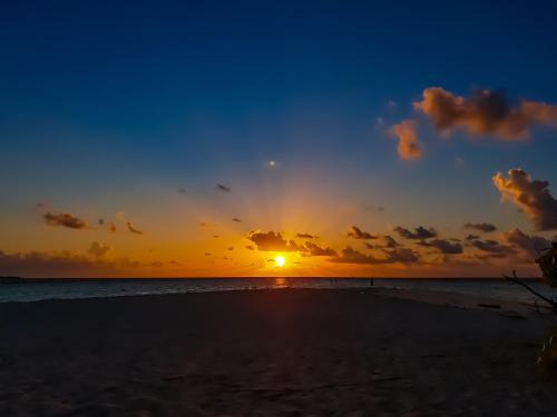 a sunset on a beach with the sun setting at Nemo Inn in Omadhoo