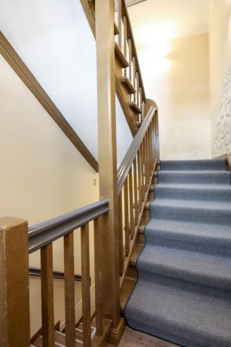 a staircase in a building with blue carpet at Amaroo - Gästehaus "Charlotte" in Potsdam