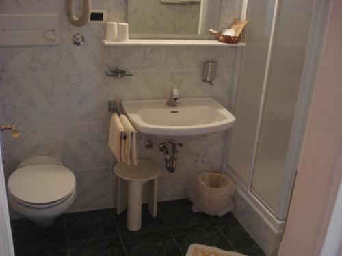 a bathroom with a sink and a toilet and a shower at Sporthotel Rasen in Rasùn di Sotto