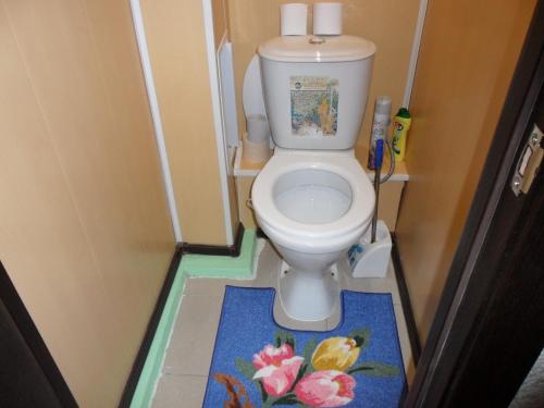 ニジネヴァルトフスクにあるApartment Internatsional'naya 2/1の小さなバスルーム(カラフルなラグ付きトイレ付)