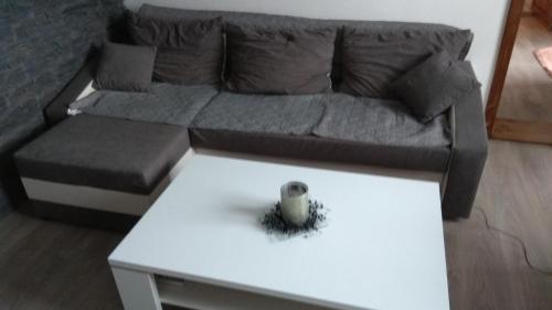 a living room with a couch and a table at Apt.Jana ,apt.Terezka in Stožec