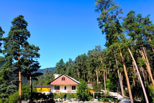 a house in the middle of a forest at Guest House on Meskheti in Borjomi