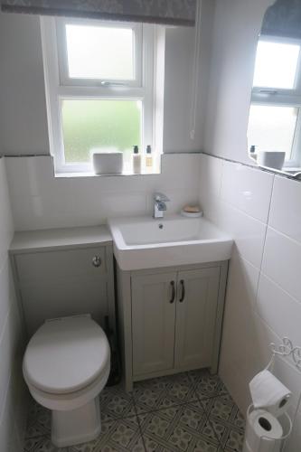 a bathroom with a toilet and a sink and a window at Farfield in Threshfield