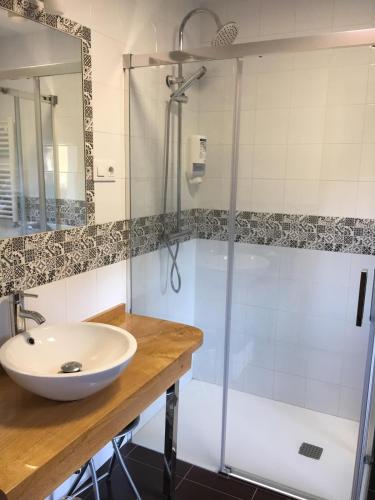 un baño con lavabo y ducha en Narcea Turismo Real, en Cangas del Narcea