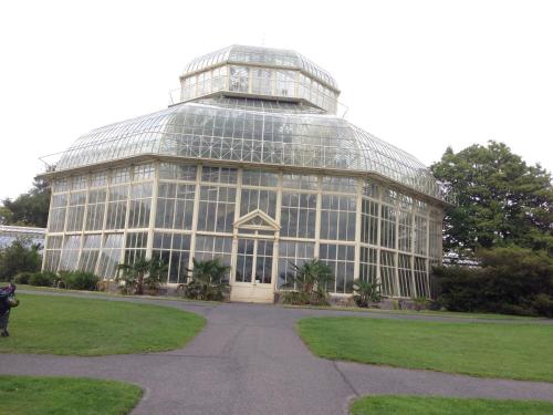 a large glass greenhouse with a dog in front of it at Acara House B&B in Dublin