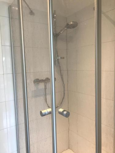 a shower with a glass door in a bathroom at Haus Madita in Breitnau