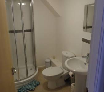 a bathroom with a shower and a toilet and a sink at Apartment over looking Buxton Market Square in Buxton