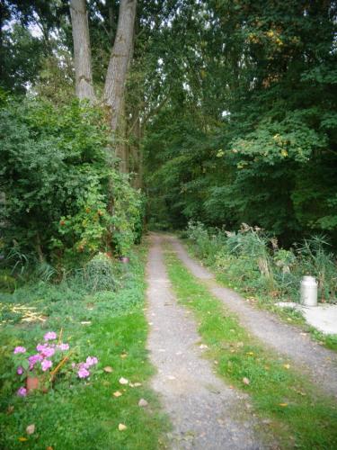a dirt road in a garden with flowers and trees at L'Orée du Bois in Coutiches