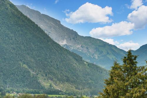 a view of a mountain with trees on it at Gasthof Hotel Hauslwirt in Golling an der Salzach