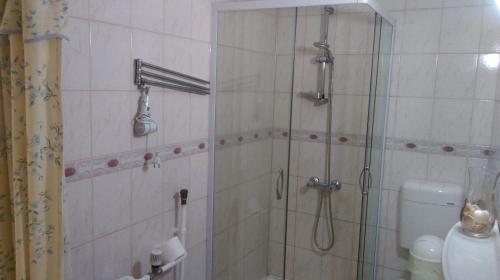 a bathroom with a shower and a toilet at Roxanna Apartman in Gyula