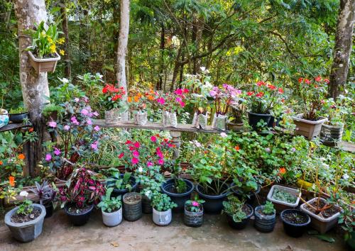 Taman di luar Secret Nest Homestay