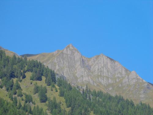 a mountain with trees on the side of it at Ferienwohnung Bergblick in Schmirn