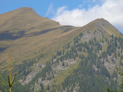 a mountain with trees on the side of it at Ferienwohnung Bergblick in Schmirn