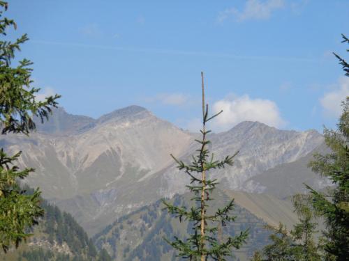 a tall tree with mountains in the background at Ferienwohnung Bergblick in Schmirn