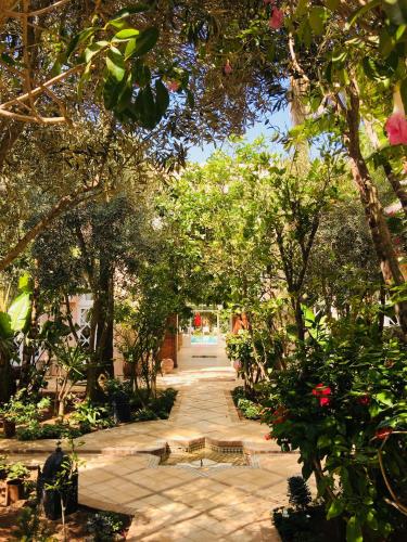 a path through a garden with trees and flowers at Riad des Golfs in Agadir