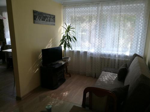 Et tv og/eller underholdning på Tėjos guest house