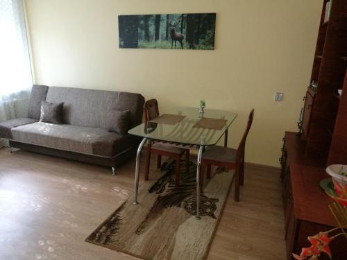 un salon avec une table et un canapé dans l'établissement Tėjos guest house, à Šiauliai