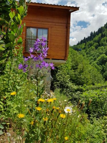 Landskap semula jadi dekat dengan chalet