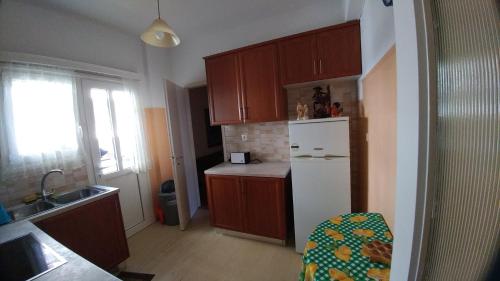 Kuchyňa alebo kuchynka v ubytovaní Proteus Apartment