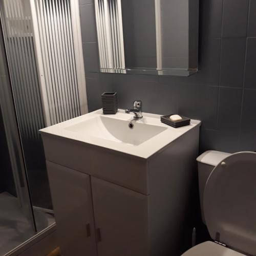une salle de bain avec un lavabo blanc et des toilettes dans l'établissement location en bord de mer grau agde, au Grau-dʼAgde
