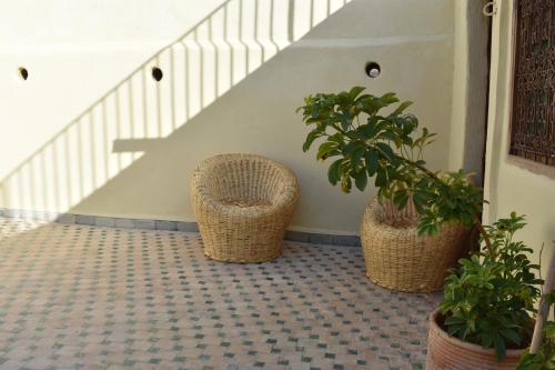 three potted plants sitting on a porch with stairs at Dar Rbab in Fès