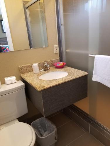 a bathroom with a sink and a toilet and a mirror at Middlebury Sweets Motel in Middlebury
