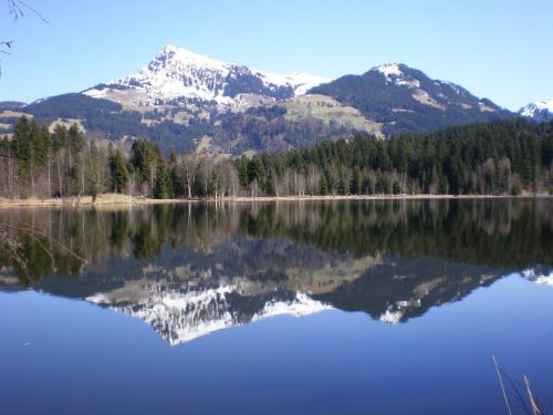 a view of a lake with mountains in the background at Grillinghof in Kirchberg in Tirol