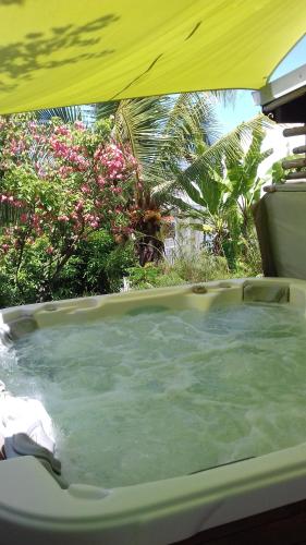 Un jardín fuera de Kay Zanndoli