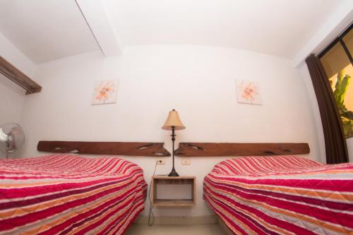two beds in a room with white walls at Carola Lodge in Ica