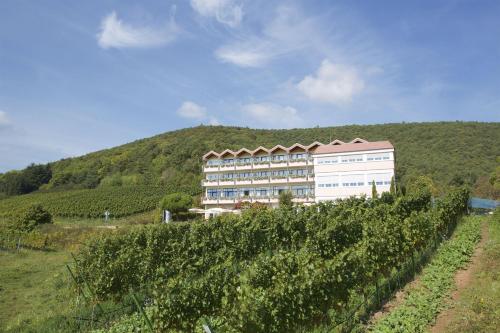 ein Gebäude vor einem Hügel mit einem Weinberg in der Unterkunft Arens Hotel 327mNN in Sankt Martin