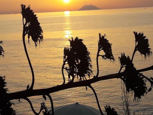 a tree branch in front of the ocean at sunset at Residenza Villa Spagnola in Parghelia