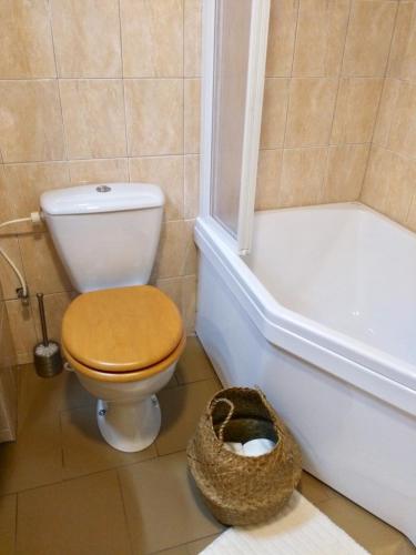 a bathroom with a toilet and a bath tub at U Kryštofa in Luže