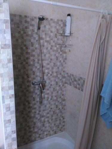 La salle de bains est pourvue d'une douche avec rideau de douche. dans l'établissement Casa Rural La Jara, à Botija