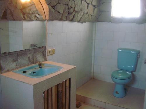 a bathroom with a blue toilet and a sink at Gusti Home Stay Ubud in Ubud