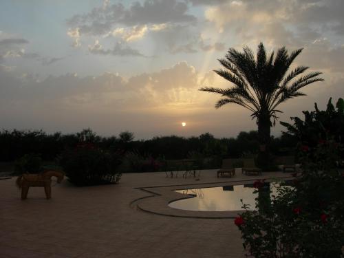 a sunset with a palm tree and a pool at Riad-villa Agadir-Taroudant in Sidi Boumoussa