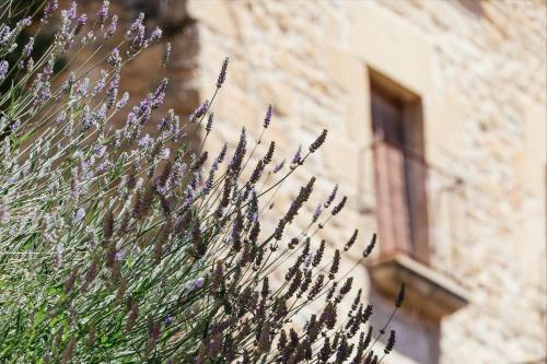 a plant with purple flowers in front of a building at Hotel Cresol in Calaceite